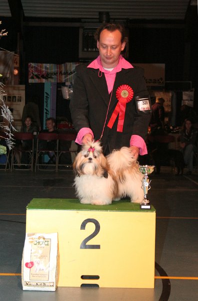 Pup 2.jpg